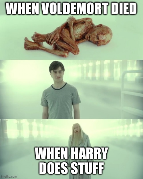 Harry Potter and Dumbledore | WHEN VOLDEMORT DIED; WHEN HARRY DOES STUFF | image tagged in harry potter and dumbledore | made w/ Imgflip meme maker