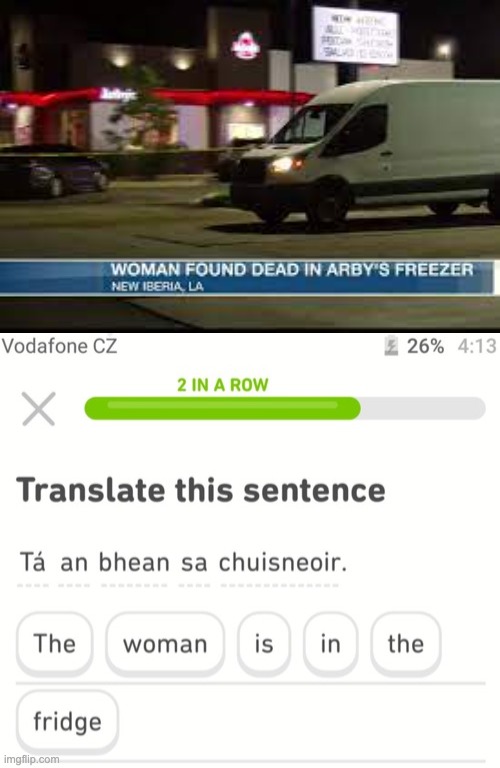 duo went a little too far... | image tagged in funny,duolingo bird,oh no,wait what | made w/ Imgflip meme maker