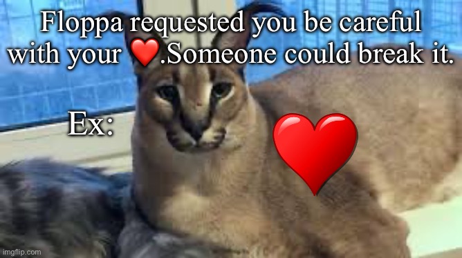 Oh, I wonder who that someone could be | Floppa requested you be careful with your ❤️.Someone could break it. Ex: | image tagged in floppa | made w/ Imgflip meme maker