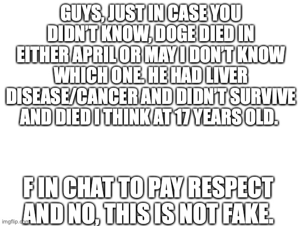 RIP our beloved friend | GUYS, JUST IN CASE YOU DIDN’T KNOW, DOGE DIED IN EITHER APRIL OR MAY I DON’T KNOW WHICH ONE. HE HAD LIVER DISEASE/CANCER AND DIDN’T SURVIVE AND DIED I THINK AT 17 YEARS OLD. F IN CHAT TO PAY RESPECT



AND NO, THIS IS NOT FAKE. | made w/ Imgflip meme maker