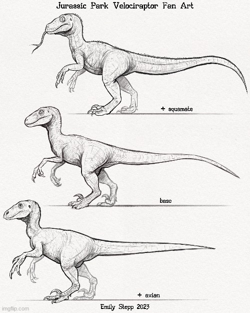Jurassic Park Velociraptor DNA Variants (Art by EmilyStepp) | image tagged in jurassic park,jurassic world,dinosaur,velociraptor,fan art | made w/ Imgflip meme maker