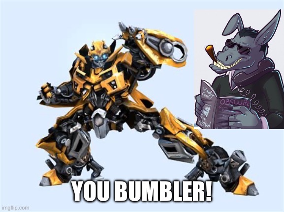 Dunkey and Bumblebee | YOU BUMBLER! | image tagged in dunkey,transformers,bumblebee | made w/ Imgflip meme maker