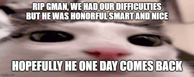 this stream is dejavu, AFS is still dogshit and childish tho | RIP GMAN, WE HAD OUR DIFFICULTIES BUT HE WAS HONORFUL SMART AND NICE; HOPEFULLY HE ONE DAY COMES BACK | image tagged in plink | made w/ Imgflip meme maker