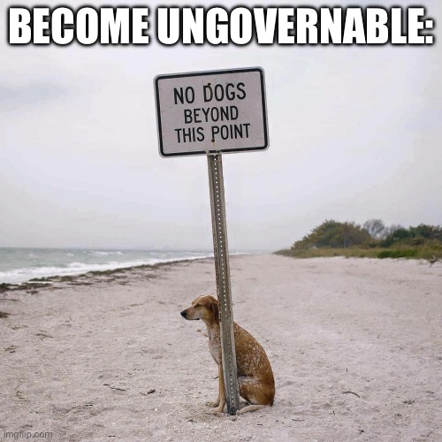 No dogs | BECOME UNGOVERNABLE: | image tagged in dog,no dogs,illegal | made w/ Imgflip meme maker