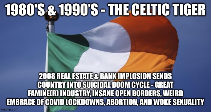 Irish flag | 1980'S & 1990’S - THE CELTIC TIGER; 2008 REAL ESTATE & BANK IMPLOSION SENDS COUNTRY INTO SUICIDAL DOOM CYCLE - GREAT FAMINE(R) INDUSTRY, INSANE OPEN BORDERS, WEIRD EMBRACE OF COVID LOCKDOWNS, ABORTION, AND WOKE SEXUALITY | image tagged in irish flag | made w/ Imgflip meme maker