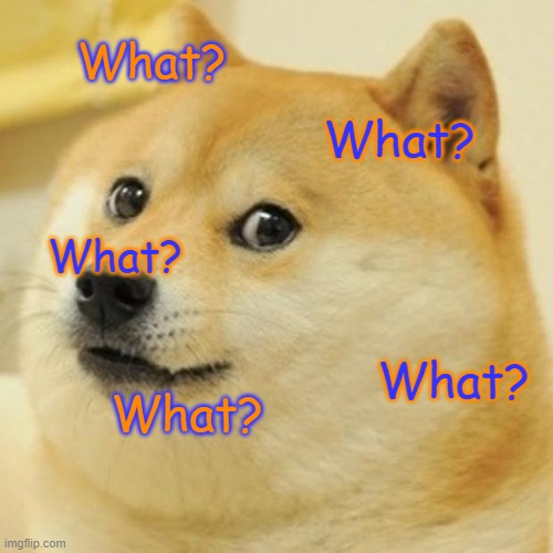 Doge | What? What? What? What? What? | image tagged in memes,doge | made w/ Imgflip meme maker