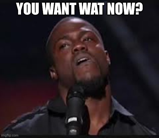 Kevin Hart | YOU WANT WAT NOW? | image tagged in kevin hart | made w/ Imgflip meme maker