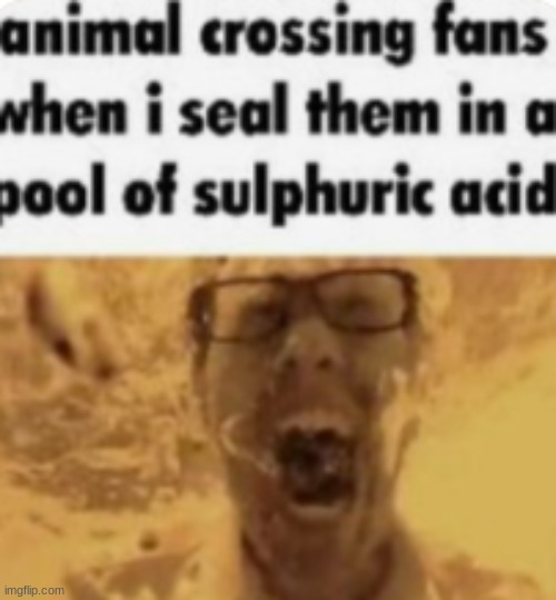 as an animal crossing fan i can confirm | made w/ Imgflip meme maker