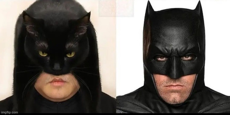 Catman Batman | image tagged in catman batman | made w/ Imgflip meme maker