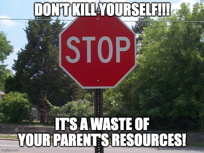 a waste of your parent's resources | DON'T KILL YOURSELF!!! IT'S A WASTE OF YOUR PARENT'S RESOURCES! | image tagged in stop sign,stop,memes,funny,suicide | made w/ Imgflip meme maker