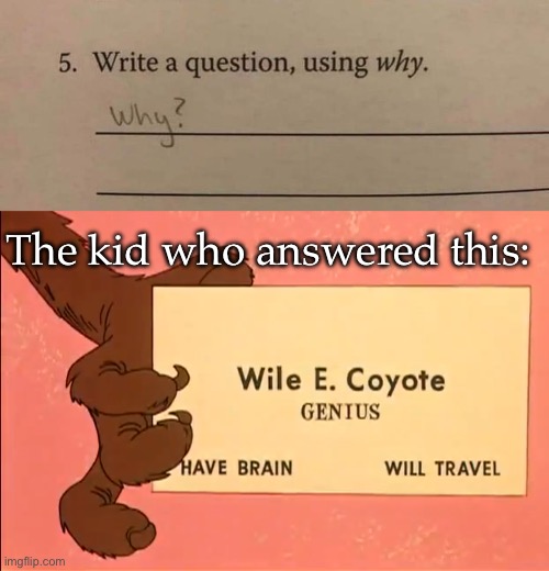 Genius | The kid who answered this: | image tagged in wile e coyote genius card,why,test,funny test answers | made w/ Imgflip meme maker