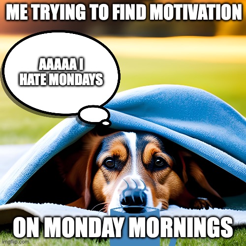 THIS IS ME WHEN I'M TRYING TO FIND MOTIVATION ON MONDAYS | ME TRYING TO FIND MOTIVATION; AAAAA I HATE MONDAYS; ON MONDAY MORNINGS | image tagged in funny,memes,dog | made w/ Imgflip meme maker