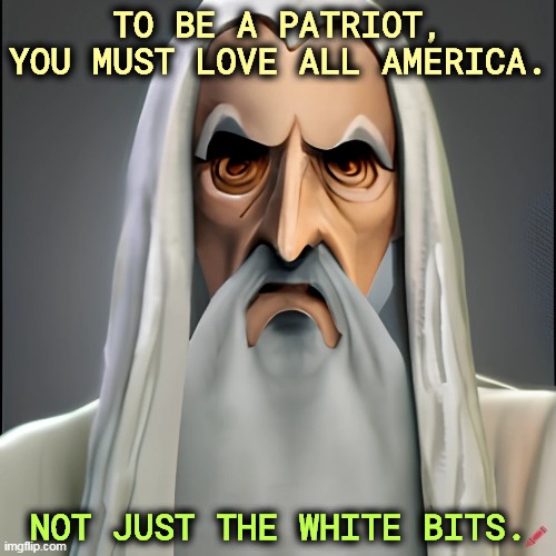 TO BE A PATRIOT, YOU MUST LOVE ALL AMERICA. NOT JUST THE WHITE BITS. | image tagged in patriot,america,racist,white,bigot | made w/ Imgflip meme maker