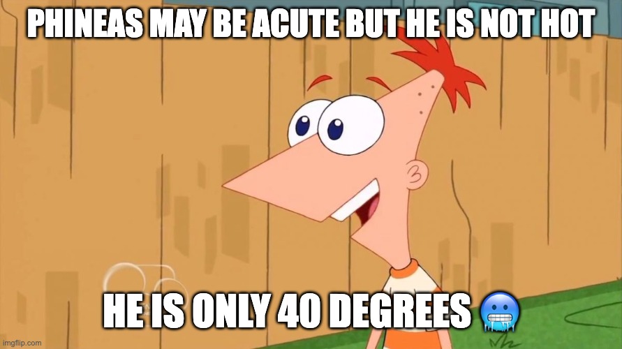 Phineas math joke | PHINEAS MAY BE ACUTE BUT HE IS NOT HOT; HE IS ONLY 40 DEGREES 🥶 | image tagged in yes phineas,memes,funny,math,eyeroll | made w/ Imgflip meme maker