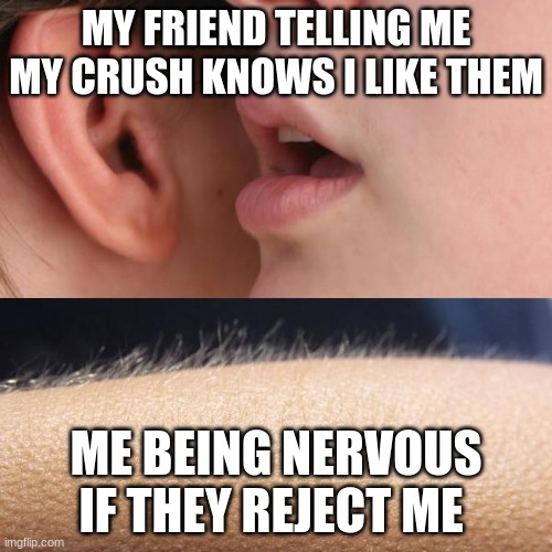 Whisper and Goosebumps | MY FRIEND TELLING ME MY CRUSH KNOWS I LIKE THEM; ME BEING NERVOUS IF THEY REJECT ME | image tagged in whisper and goosebumps | made w/ Imgflip meme maker