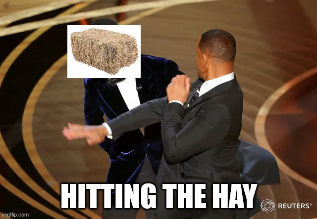 Will Smith punching Chris Rock | HITTING THE HAY | image tagged in will smith punching chris rock | made w/ Imgflip meme maker