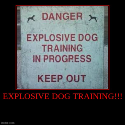 EXPLOSIVE DOG TRAINING!!! | | image tagged in funny,demotivationals | made w/ Imgflip demotivational maker