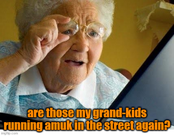 old lady at computer | are those my grand-kids running amuk in the street again? | image tagged in old lady at computer | made w/ Imgflip meme maker