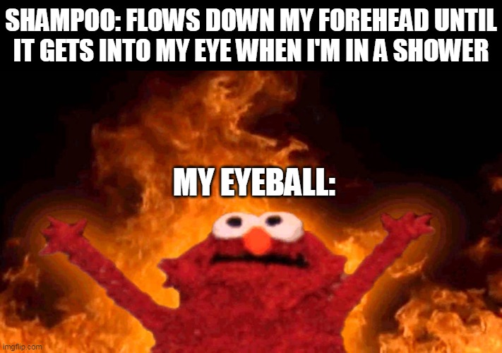 me if that happens | SHAMPOO: FLOWS DOWN MY FOREHEAD UNTIL IT GETS INTO MY EYE WHEN I'M IN A SHOWER; MY EYEBALL: | image tagged in elmo fire,shampoo,shower,elmo nuclear explosion,elmo | made w/ Imgflip meme maker
