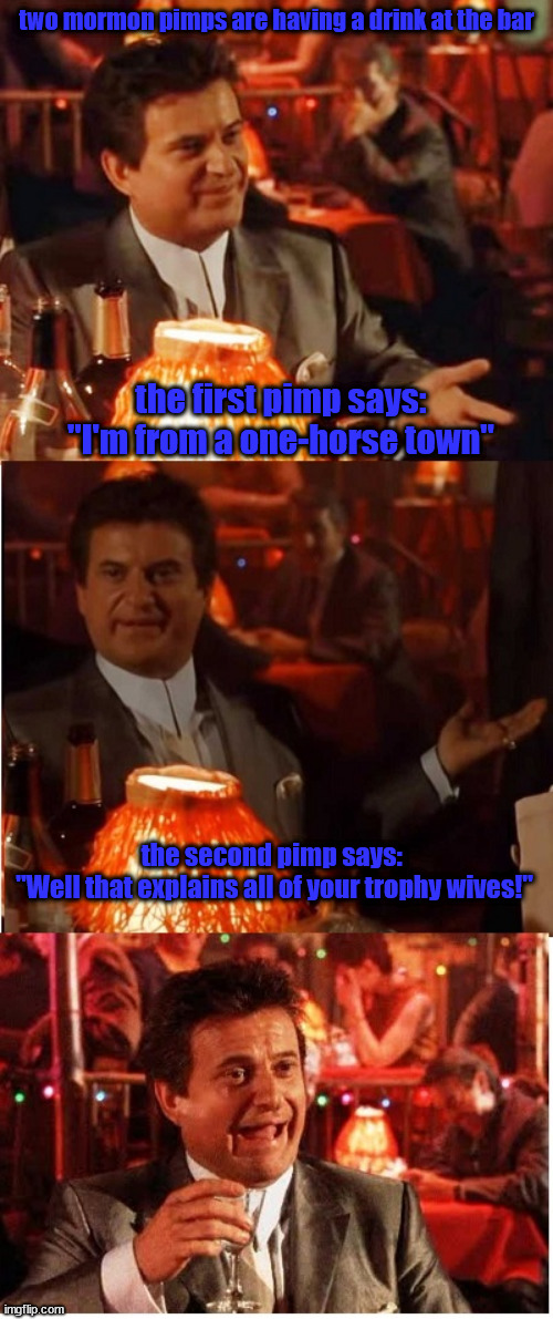 One Horse Town | two mormon pimps are having a drink at the bar; the first pimp says: "I'm from a one-horse town"; the second pimp says: 
"Well that explains all of your trophy wives!" | image tagged in even-worse-pun joe pesce | made w/ Imgflip meme maker