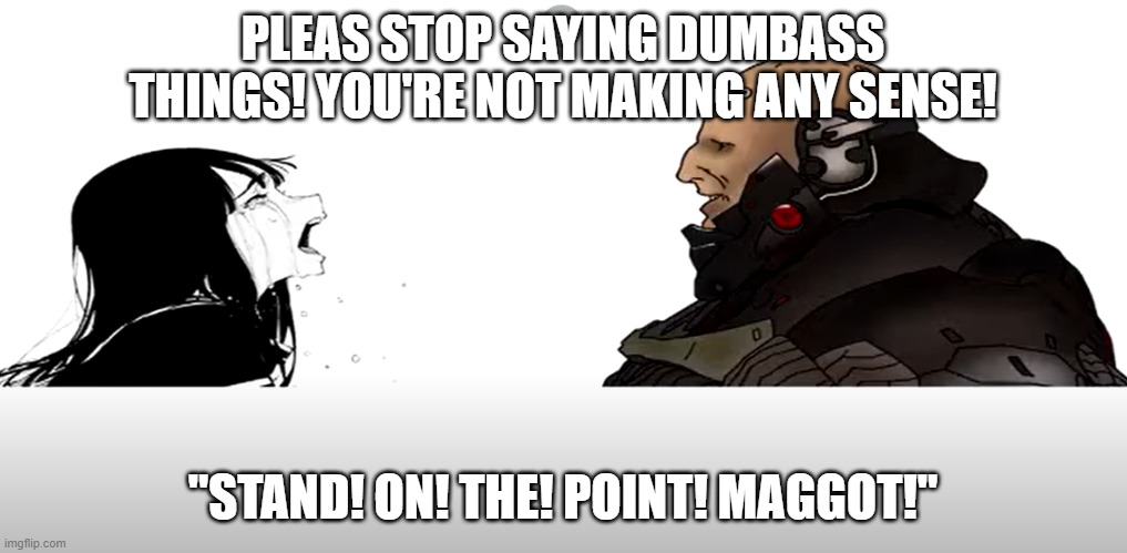 Please stop saying soldier things, you're not making any sense! | PLEAS STOP SAYING DUMBASS THINGS! YOU'RE NOT MAKING ANY SENSE! "STAND! ON! THE! POINT! MAGGOT!" | image tagged in please stop saying dumbass things | made w/ Imgflip meme maker