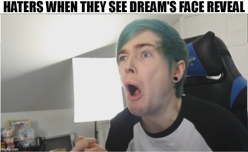 Haters, judgmental, and generally rude people when they see what Dream's face actually looks like | HATERS WHEN THEY SEE DREAM'S FACE REVEAL | image tagged in dantdm sour,dream,dream face reveal,haters,judging | made w/ Imgflip meme maker