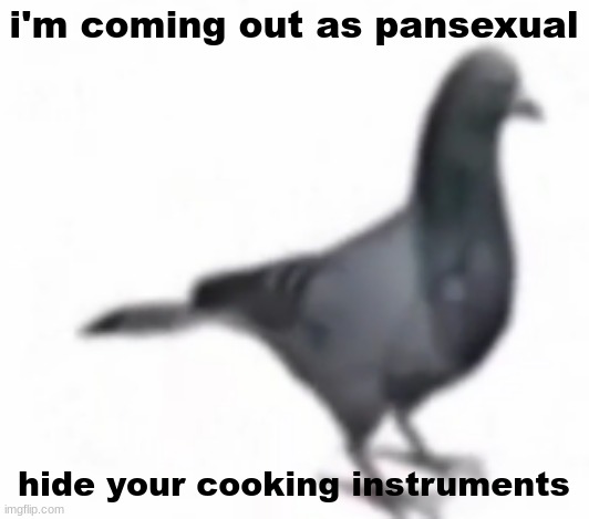 this is real | i'm coming out as pansexual; fr tho; hide your cooking instruments | image tagged in pig,/srs | made w/ Imgflip meme maker