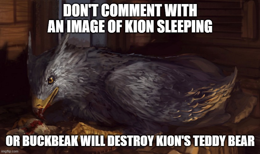 Buckbeak | DON'T COMMENT WITH AN IMAGE OF KION SLEEPING; OR BUCKBEAK WILL DESTROY KION'S TEDDY BEAR | image tagged in buckbeak | made w/ Imgflip meme maker