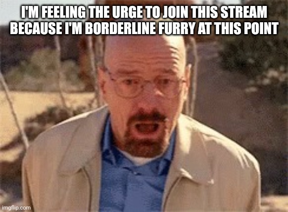 Walter White | I'M FEELING THE URGE TO JOIN THIS STREAM BECAUSE I'M BORDERLINE FURRY AT THIS POINT | image tagged in walter white | made w/ Imgflip meme maker