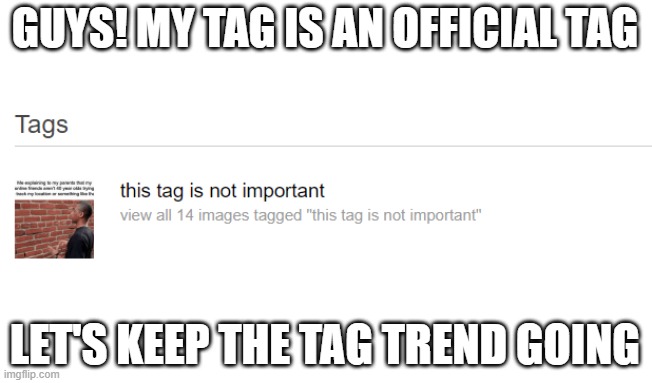 use my tag! let's keep it going! | GUYS! MY TAG IS AN OFFICIAL TAG; LET'S KEEP THE TAG TREND GOING | image tagged in this tag is not important | made w/ Imgflip meme maker