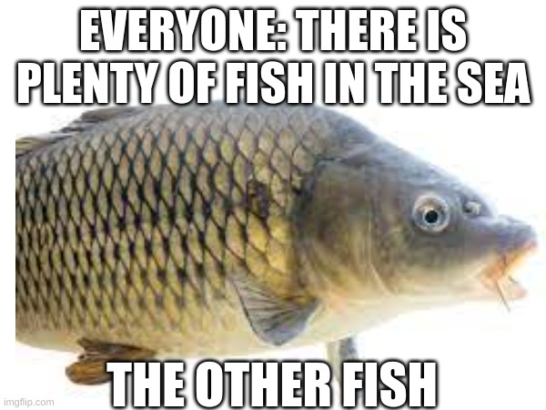 Your perfect <3 | EVERYONE: THERE IS PLENTY OF FISH IN THE SEA; THE OTHER FISH | image tagged in fishing | made w/ Imgflip meme maker