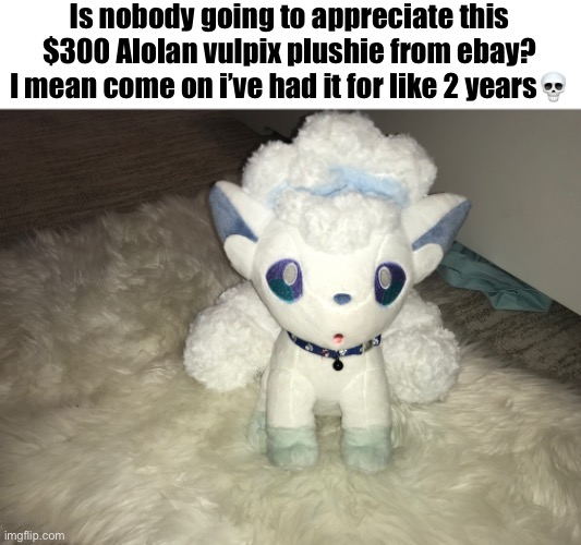 The collar was a nice touch ngl it was my cat’s old one and I had nothing to do with it | Is nobody going to appreciate this $300 Alolan vulpix plushie from ebay? I mean come on i’ve had it for like 2 years💀 | made w/ Imgflip meme maker
