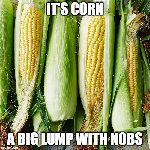 its corn | IT'S CORN; A BIG LUMP WITH NOBS | image tagged in corn,memes | made w/ Imgflip meme maker