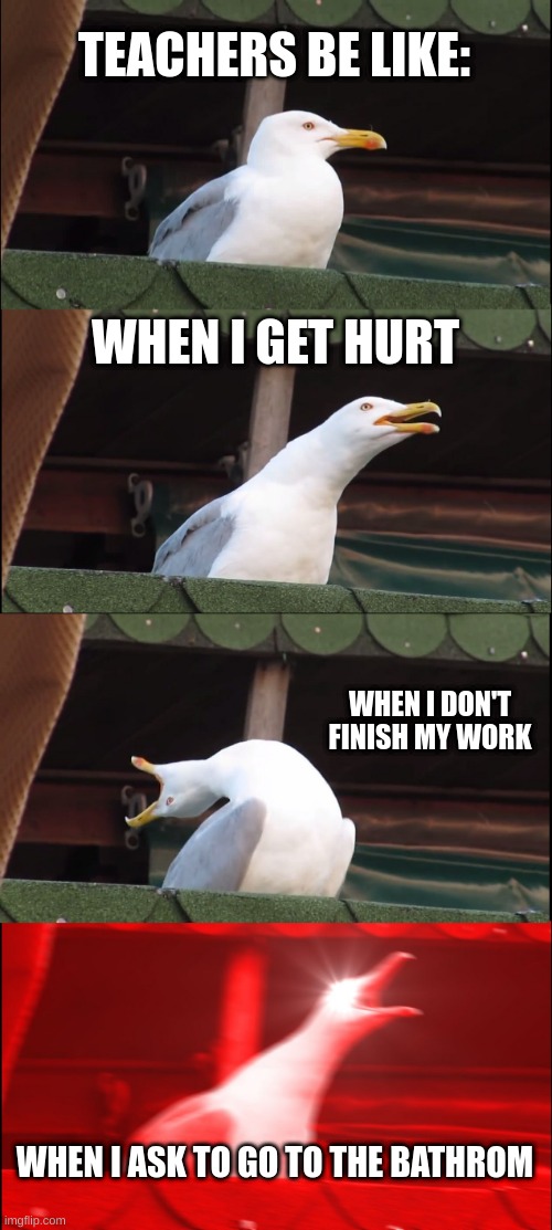 Inhaling Seagull | TEACHERS BE LIKE:; WHEN I GET HURT; WHEN I DON'T FINISH MY WORK; WHEN I ASK TO GO TO THE BATHROM | image tagged in memes,inhaling seagull | made w/ Imgflip meme maker