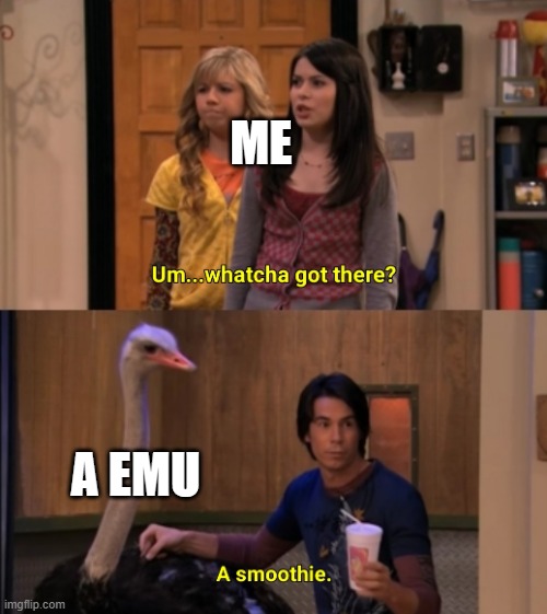 Whatcha Got There? | ME; A EMU | image tagged in whatcha got there | made w/ Imgflip meme maker