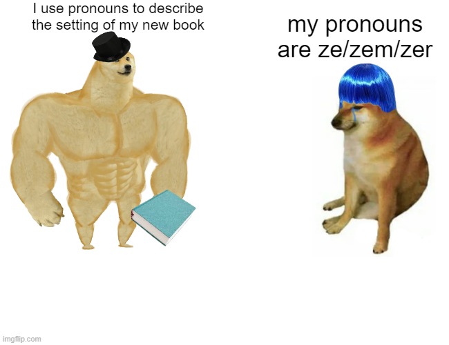 What Pronouns Used To Mean Vs What It Means Now | I use pronouns to describe
the setting of my new book; my pronouns are ze/zem/zer | image tagged in memes,buff doge vs cheems | made w/ Imgflip meme maker