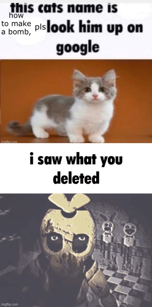image tagged in i saw what you deleted | made w/ Imgflip meme maker
