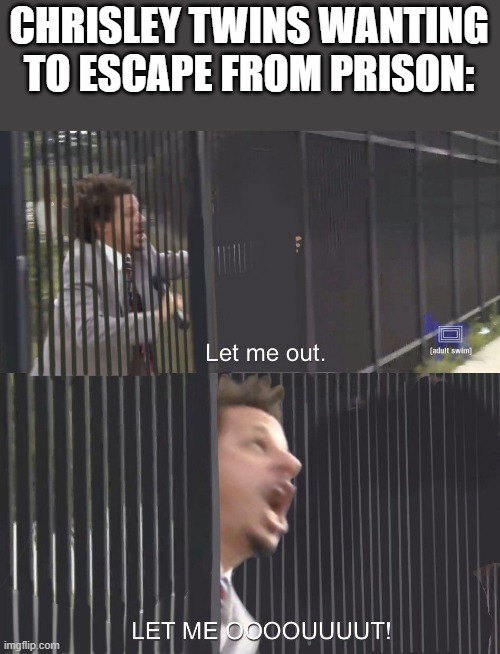 The Chrisley Twins are still in PRISON BREAK | CHRISLEY TWINS WANTING TO ESCAPE FROM PRISON: | image tagged in let me out | made w/ Imgflip meme maker