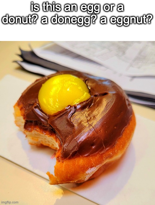 Donut background | is this an egg or a donut? a donegg? a eggnut? | image tagged in donut background | made w/ Imgflip meme maker