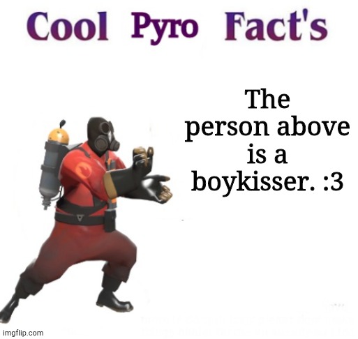 cooler pyro facts | The person above is a boykisser. :3 | image tagged in cooler pyro facts | made w/ Imgflip meme maker