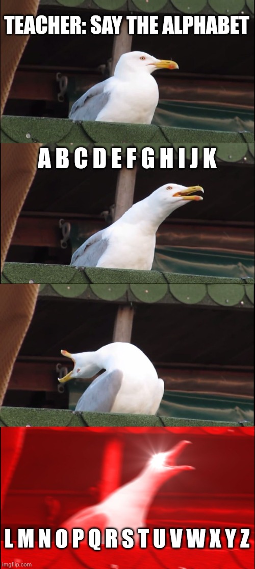 Inhaling Seagull | TEACHER: SAY THE ALPHABET; A B C D E F G H I J K; L M N O P Q R S T U V W X Y Z | image tagged in memes,inhaling seagull | made w/ Imgflip meme maker