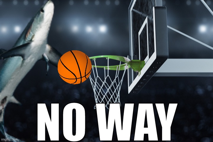 NO WAY | image tagged in no way | made w/ Imgflip meme maker