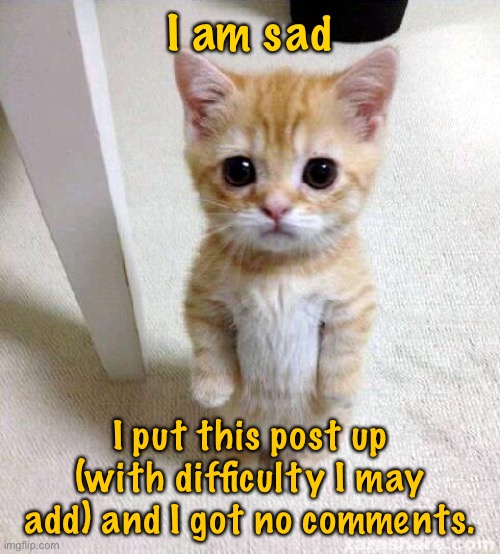 I am sad | I am sad; I put this post up (with difficulty I may add) and I got no comments. | image tagged in memes,cute cat,sad,put up a post,no comments,cats | made w/ Imgflip meme maker
