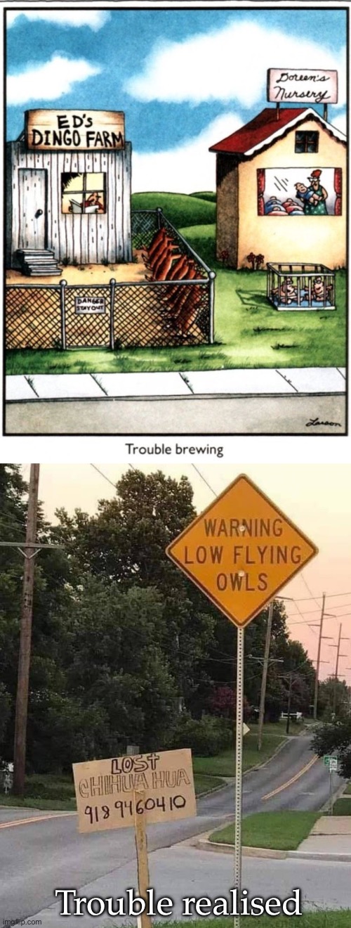Trouble | Trouble realised | image tagged in far side,big trouble,trouble,dogs | made w/ Imgflip meme maker