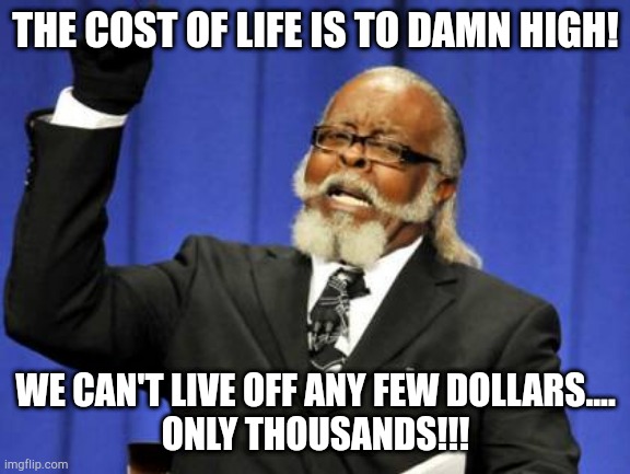 Yep it is weird ik | THE COST OF LIFE IS TO DAMN HIGH! WE CAN'T LIVE OFF ANY FEW DOLLARS....
ONLY THOUSANDS!!! | image tagged in memes,too damn high | made w/ Imgflip meme maker