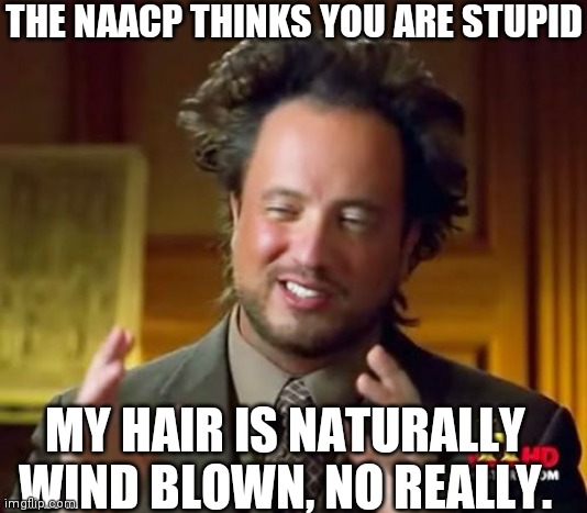 The Head of the NAACP Lives in Tampa | THE NAACP THINKS YOU ARE STUPID; MY HAIR IS NATURALLY WIND BLOWN, NO REALLY. | image tagged in memes,ancient aliens,political attacks | made w/ Imgflip meme maker