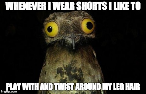 Weird Stuff I Do Potoo | WHENEVER I WEAR SHORTS I LIKE TO PLAY WITH AND TWIST AROUND MY LEG HAIR | image tagged in memes,weird stuff i do potoo,AdviceAnimals | made w/ Imgflip meme maker