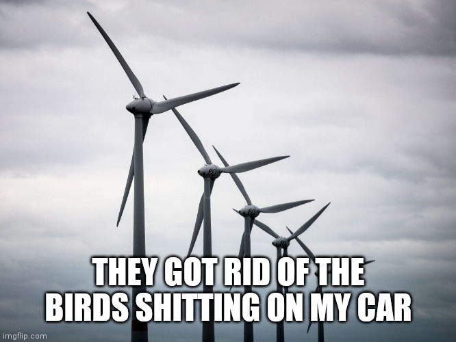 wind Turbines | THEY GOT RID OF THE BIRDS SHITTING ON MY CAR | image tagged in wind turbines | made w/ Imgflip meme maker
