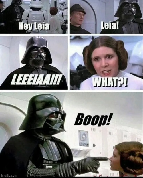 Hey Leia!!! | image tagged in darth vader,princess leia | made w/ Imgflip meme maker