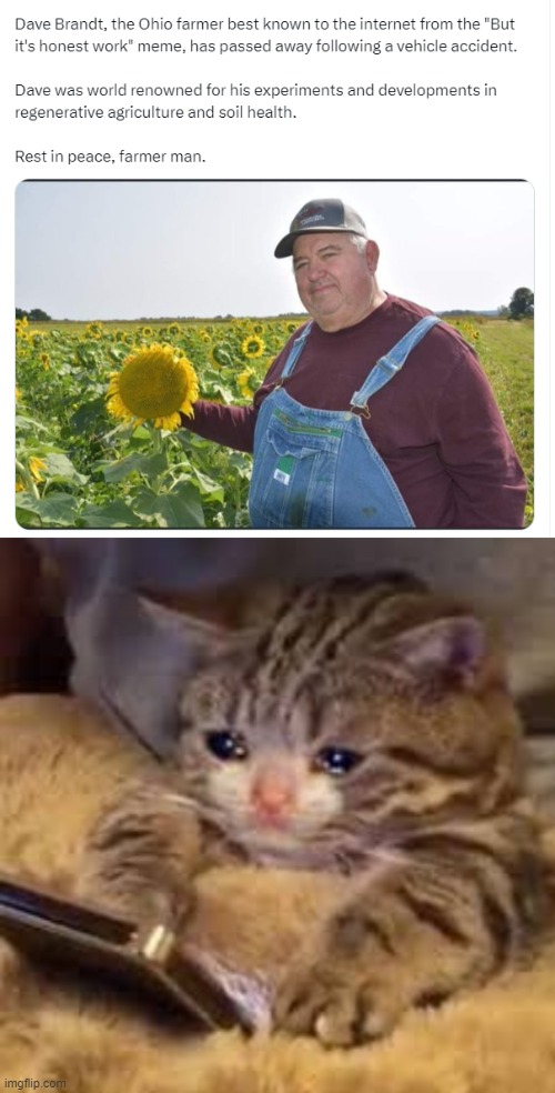 Rest in peace, farmer man, it was honest work | image tagged in sad cat looking at phone,it ain't much but it's honest work,rest in peace | made w/ Imgflip meme maker